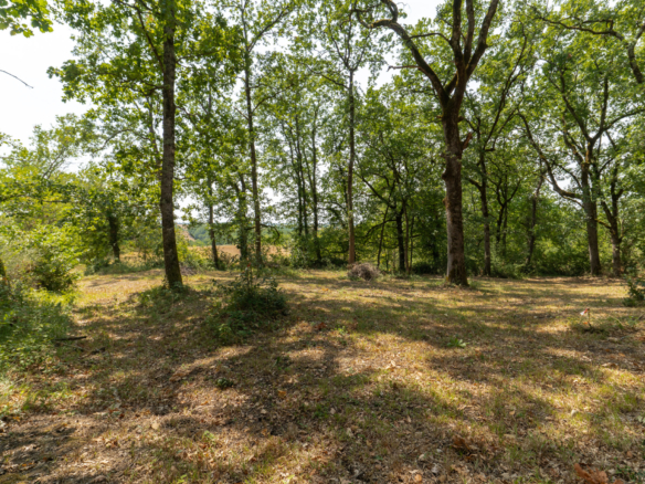 Le privilège d’un panorama unique