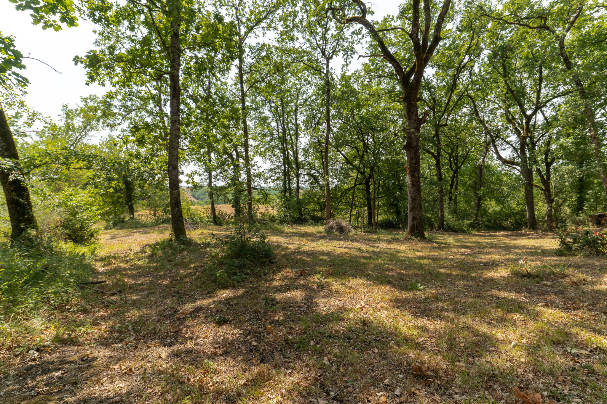 Terrain 2674 m² · au Born · 72 500 €