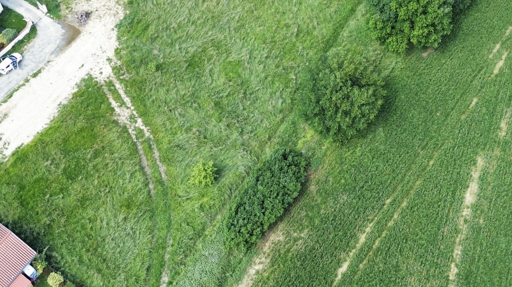 Un air de campagne à Balma