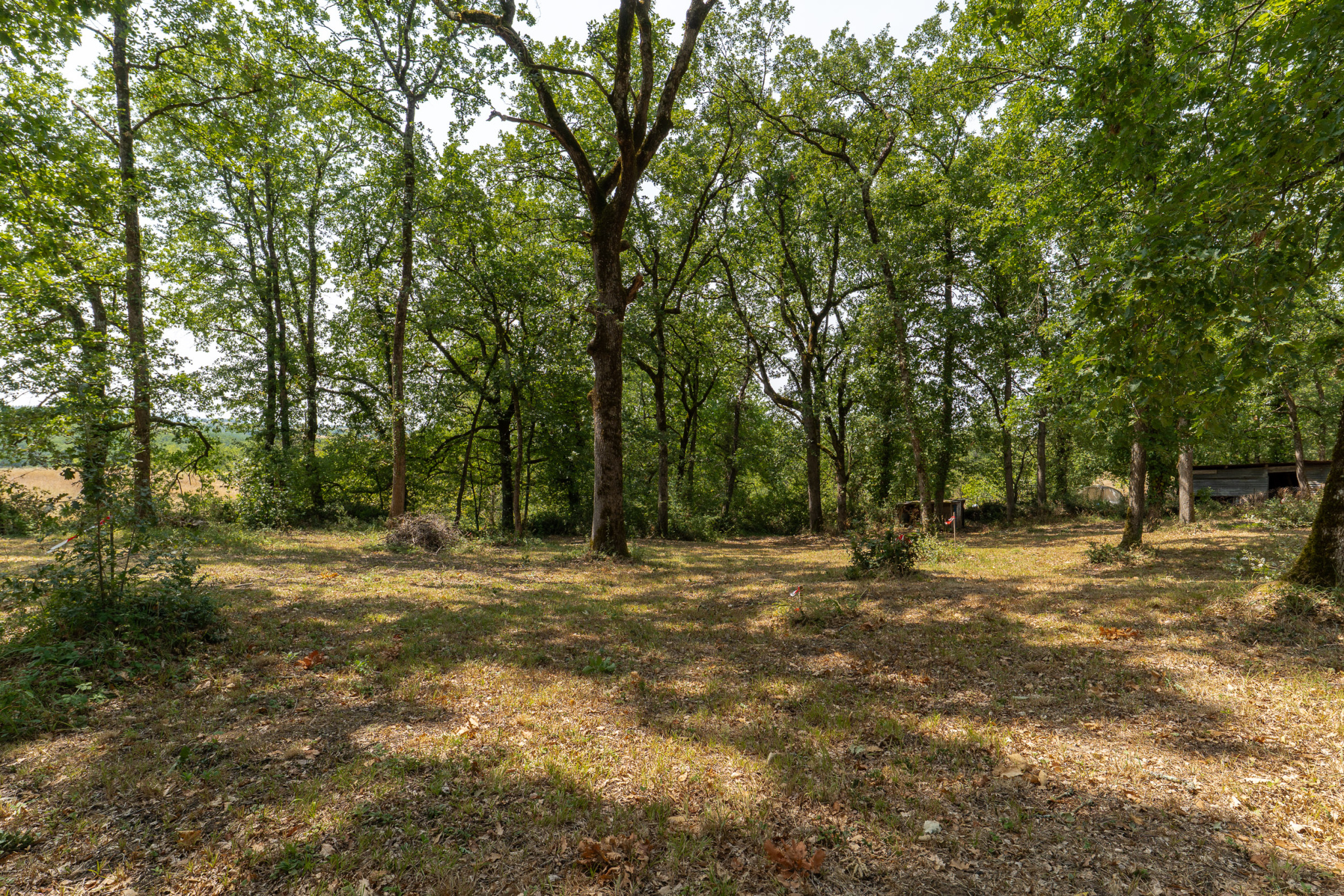 Le privilège d’un panorama unique