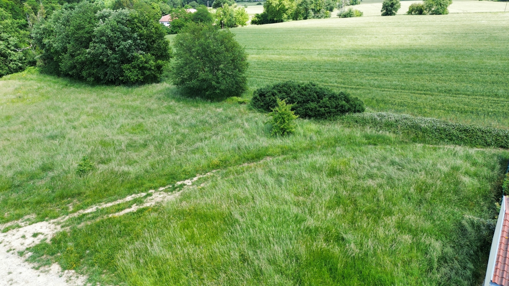 Un air de campagne à Balma