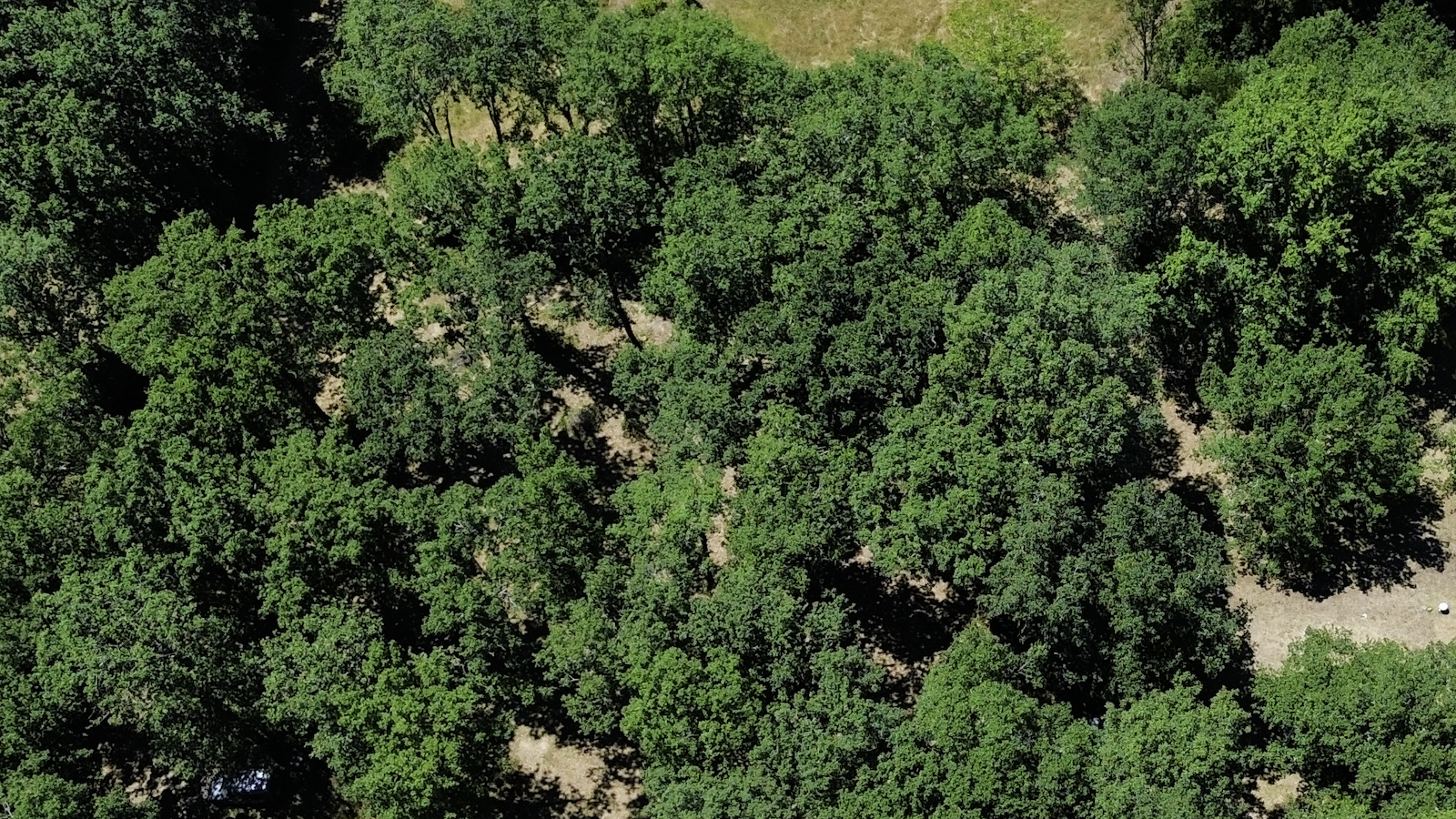 Le privilège d’un panorama unique