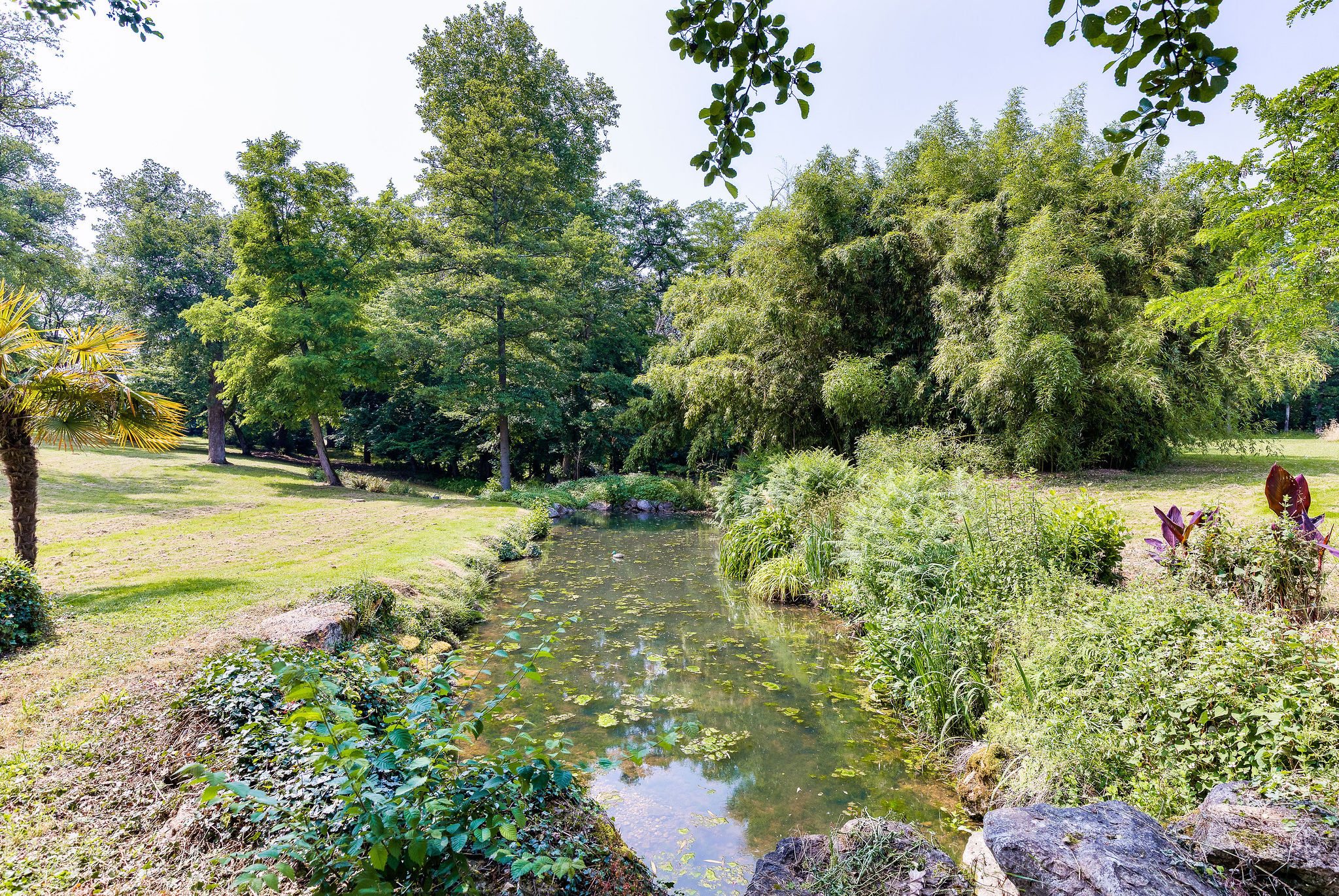 La source de Saint-Sulpice-La-Pointe